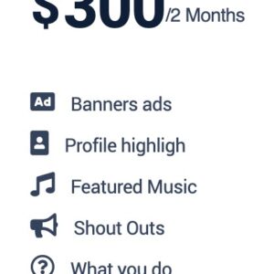 Sponsor 300 Package